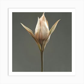 Tulip 4 Art Print