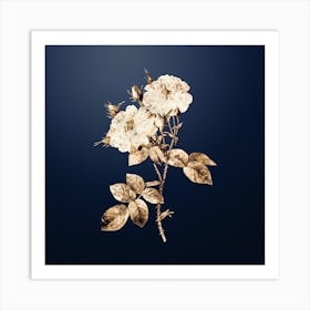 Gold Botanical White Damask Rose on Midnight Navy Art Print