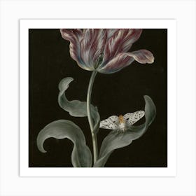 Tulip With A Moth Art Print