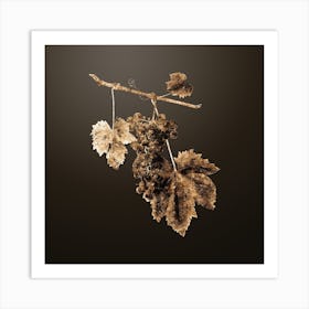 Gold Botanical Grape Colorino on Chocolate Brown n.4413 Art Print