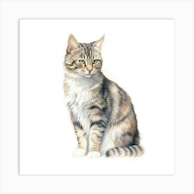 American Bobtail Cat Portrait 3 Art Print