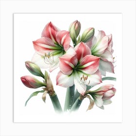 Amaryllis 5 Art Print