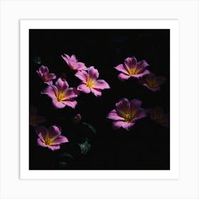 Pink Flowers In The Dark Art Print