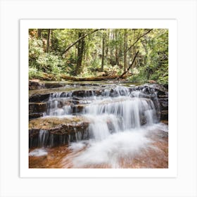 Forest Waterfall 1 Square Art Print