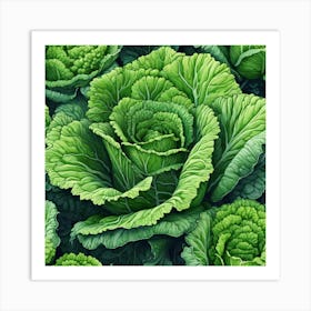 Cabbages Art Print