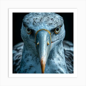 Portrait Of A Seagull 2 Art Print