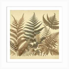 Ferns 12 Art Print