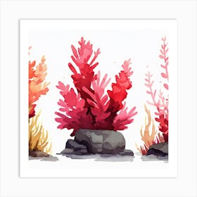 Editorial Art White Background Acropora Art Print