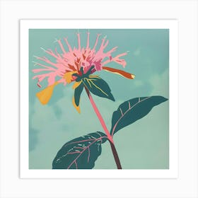 Bee Balm 1 Square Flower Illustration Art Print