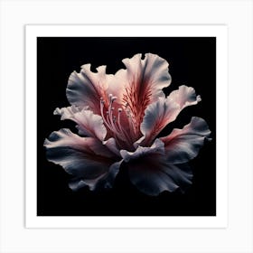 Azalea Flower Art Print
