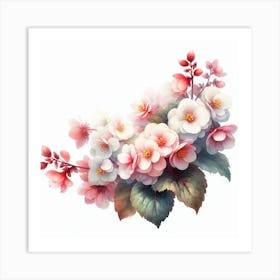 Flower of Begonia 2 Art Print