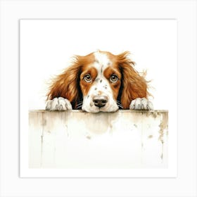 Spaniel Welsh Springer 5 Art Print