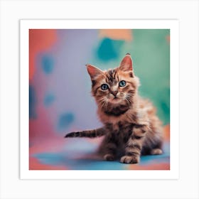 Portrait Of A Kitten Art Print