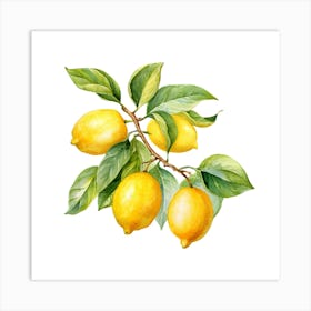 Lemons On A Branch 2 Art Print