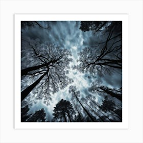 Looking Up Art Print