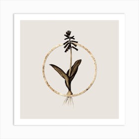 Gold Ring Lachenalia Pendula Glitter Botanical Illustration n.0026 Art Print