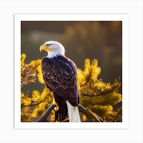 Bald Eagle 1 Art Print