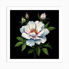 White Rose On Black Background Art Print