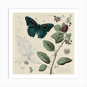 Butterflies Butterfly Botanical Nature Sketch Junk Journal Field Notes Paper Vintage Ephemera Art Print