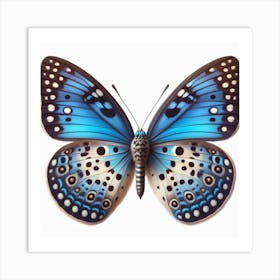 Butterfly of Neolycaena argali 1 Art Print