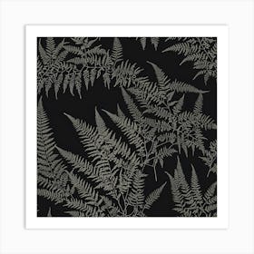 Ferns 18 Art Print