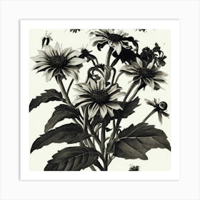 Sunflowers And Bees Black Eyed Susan Wildflower Vintage Botanical Art Print Art Print