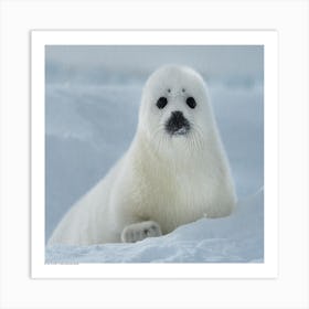 Polar Bear Art Print