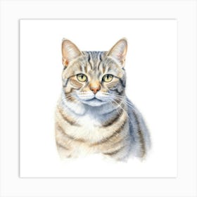 American Wirehair Shorthair Cat Portrait 2 1 Art Print