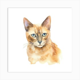 Burmese Champagne Cat Portrait 2 Art Print