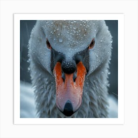 Swan In The Rain 2 Art Print