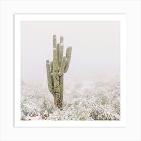 Snowy Desert Scenery Art Print