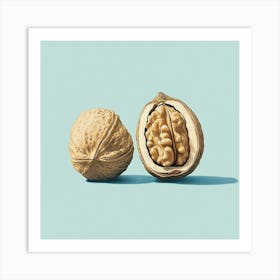 Walnuts 1 Art Print