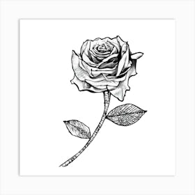 Rose Tattoo 1 Art Print