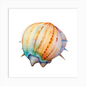 Colorful Seashell Art Print