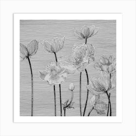 Anemones Art Print