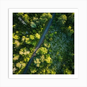 Aerial View Of A Forest Road 2 Art Print