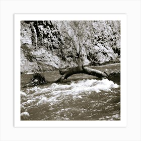 Mission Creek 1 Art Print