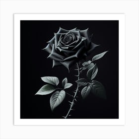 Black Rose 1 Art Print