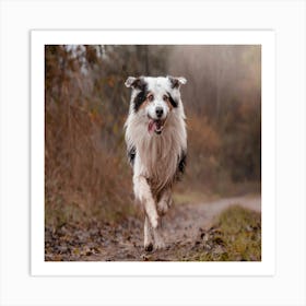 Dog Running In The Woods Art Print