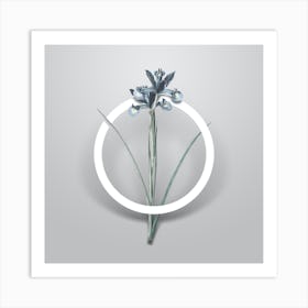 Vintage Spanish Iris Minimalist Botanical Geometric Circle on Soft Gray Art Print