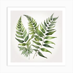 Green fern 4 Art Print