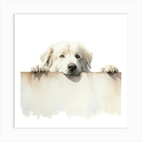 White Shepherd Dog Art Print