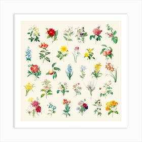 Set of beautiful blooming wildflowers Art Print