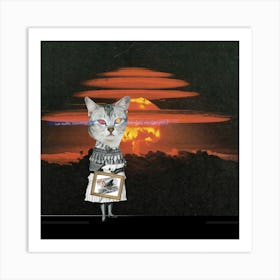 Catomania, The Seven Lives Of A Cat, Number Seven Square Art Print