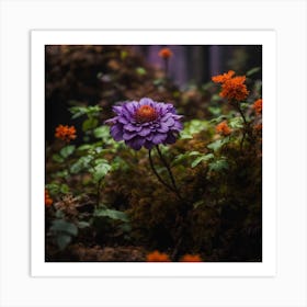 Purple Dahlia Art Print