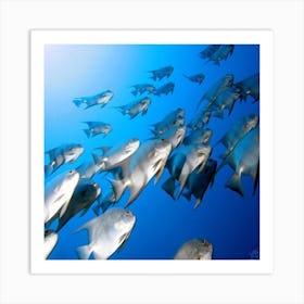 A Wonderful Sea Art Print