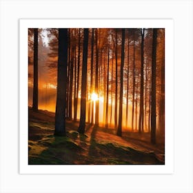 Sunrise In The Forest 32 Art Print