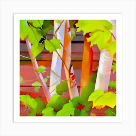 Birch Trees Art Print