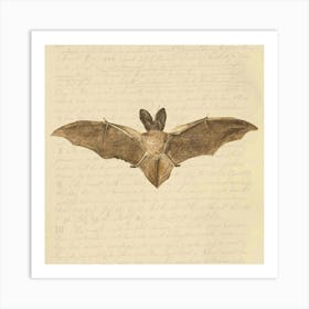 Bat In Flight Art Print