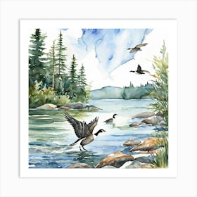 Canadian Geese 18 Art Print